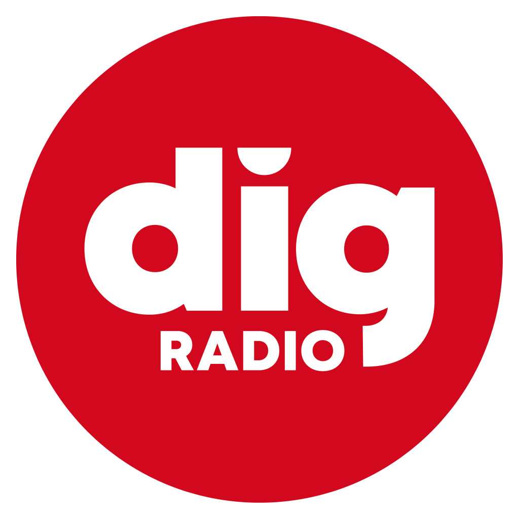 test_logo_dig